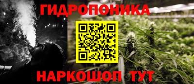 амф Гай